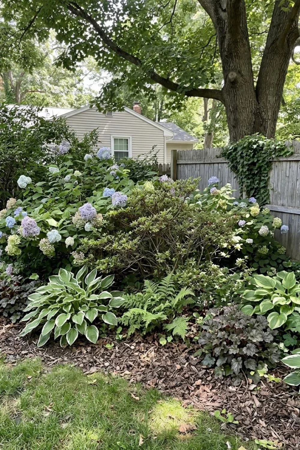 Shade Garden With Flowering Shrubs in a shaded suburban backyard garden