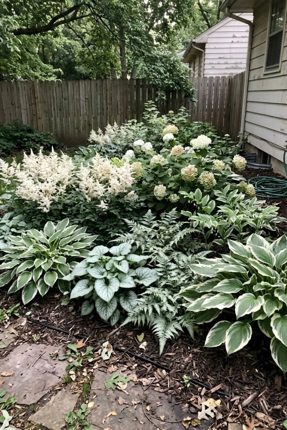 White and Silver Shade Garden in a shaded suburban backyard garden