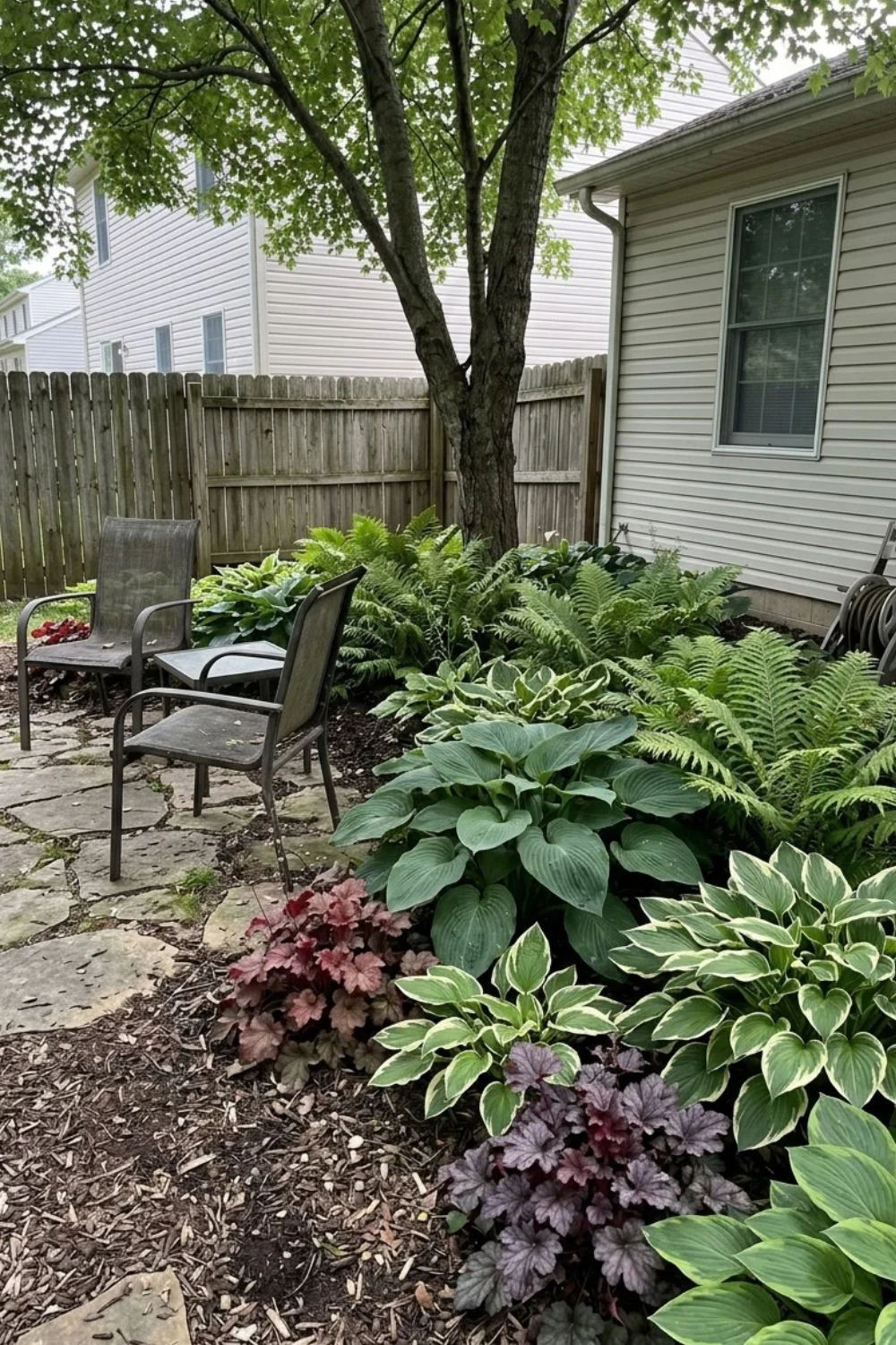 Lower-Allergen Shade Garden in a shaded suburban backyard garden