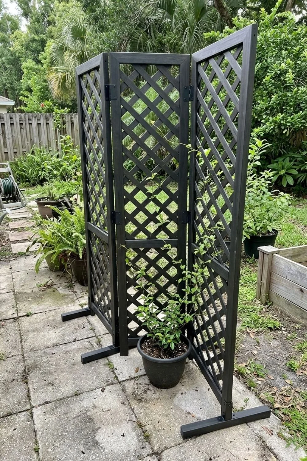 Foldable Screen Trellis supporting climbing vegetables in a small backyard garden